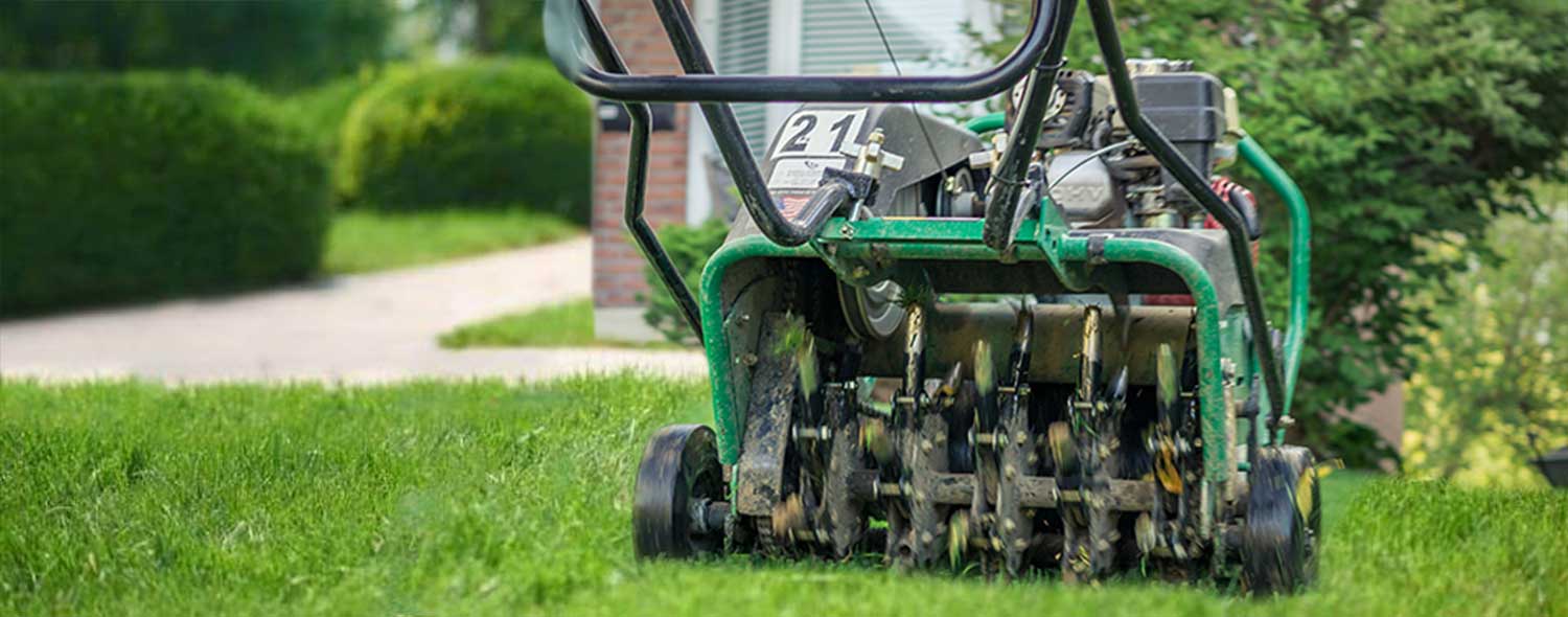 Lawn Aeration